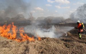 tja feuer flächenbrand elbinsel8