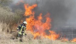 Weiterlesen: Flächenbrand auf Elbinsel