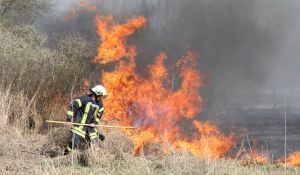 tja feuer flächenbrand elbinsel1